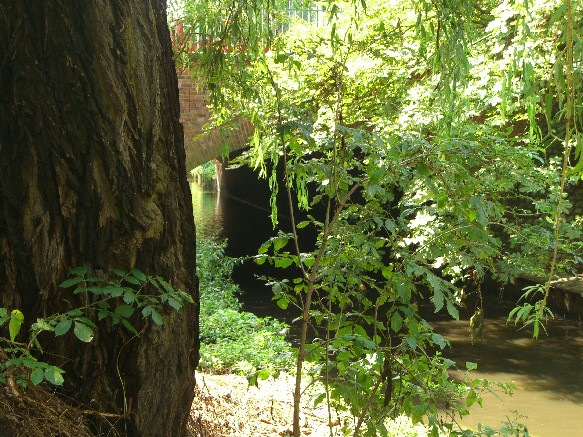 Pankebrücke Osloer Str