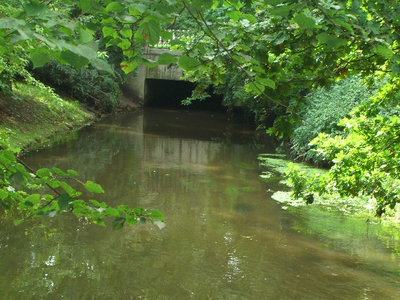 Pankebrücke Ossietzkystr