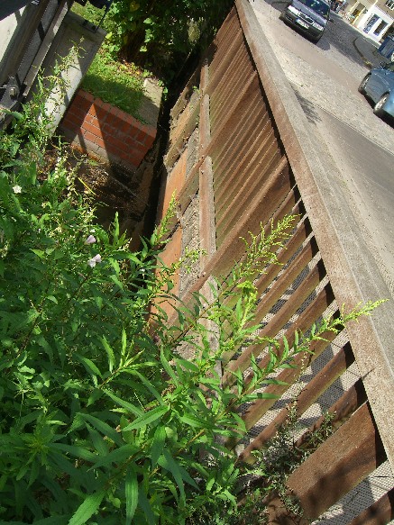 Kalkgraben Ost Woltersdorfer Schleusenstr