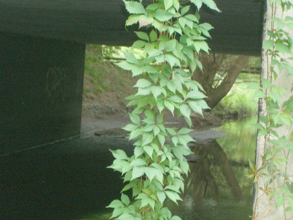 EÜ Hohenschönhauser Grenzgraben