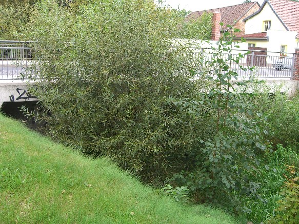 B167/Havelnebengraben