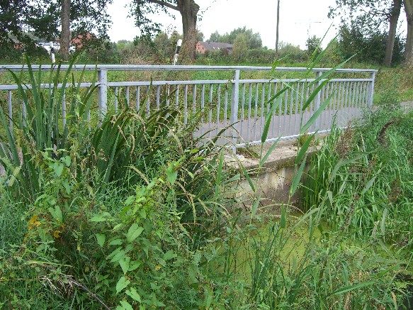 Havelnebengrabenbr nördl. Kreuzbruch