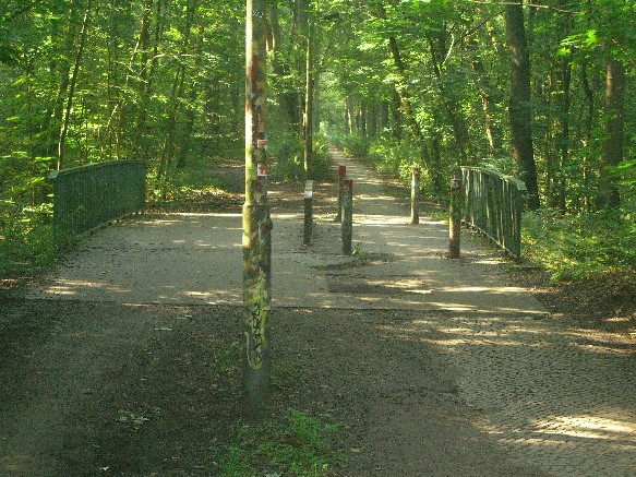 Rad- und Fußwegbrücke im Forst