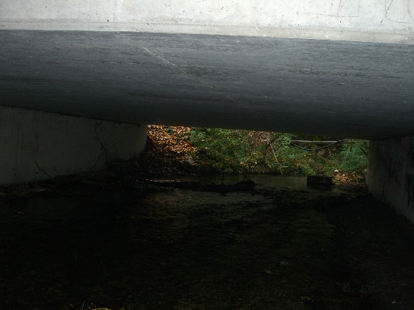 NMF Brücke Rosa Luxemburg Str.