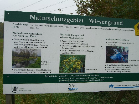 NMF Brücke Fichtenstraße zum Elisenhof