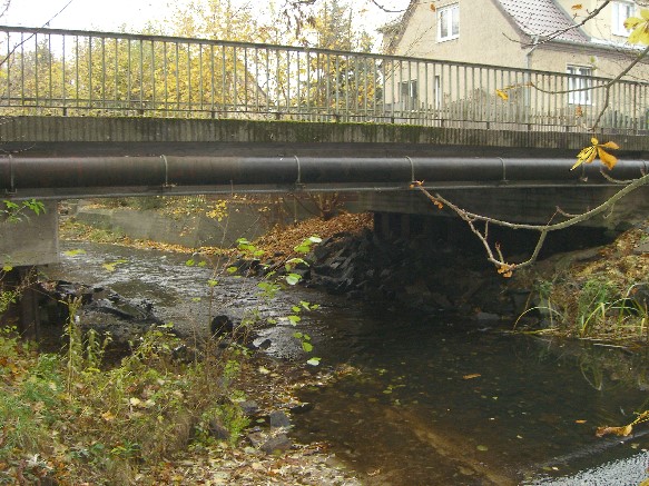 Löcknitzfließ Gottesbrück