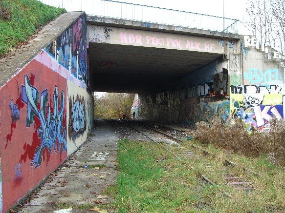 Industriegleisbr. Rhinstr. Nord