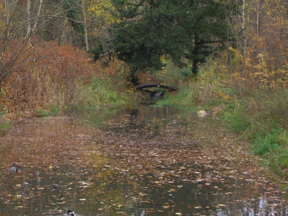 8. Pankebrücke im Bucher Schloßpark