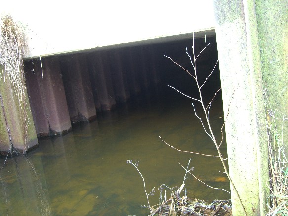 Tegeler Fließ Brücke BAR, S8 und Fußweg in Mühlenbeck