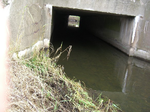 EÜ S2 u. RE3 / Graben zum Karpfenteich Blankenburg Süd