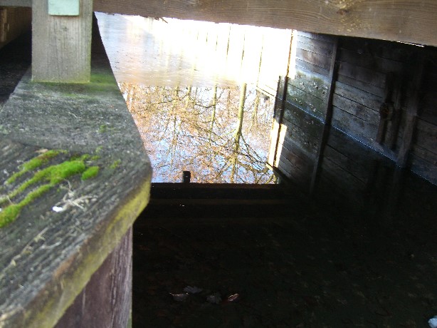 Schloßgartenbrücke N Friedrichsfelde im Tierpark Berlin