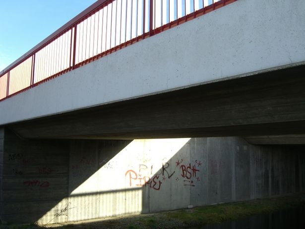 Spreeradwegbrücke neben BAS 40538