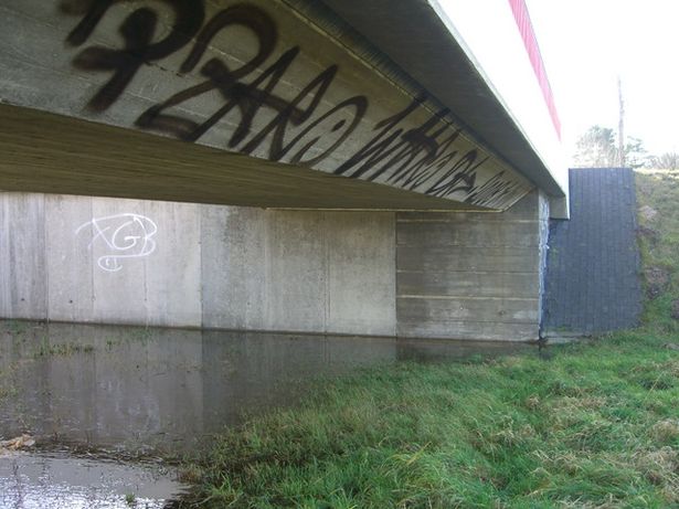 Spreeradwegbrücke neben BAS 40539