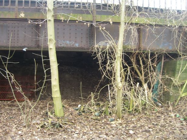 ehem. EÜ Jungfernheide-Gartenfeld / Spreezulauf s. BAS 40646