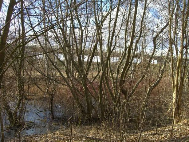 Annahofer Straßenbeücke / Bundesstraße 96 neu am Westrand von Oranienburg
