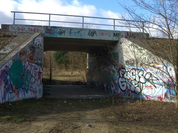 EÜ S 25 / Waldweg nördlich Bf. Heiligensee