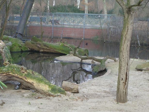 Füßwegbrücke am Landwehrkanalbegleitweg am Zoorand