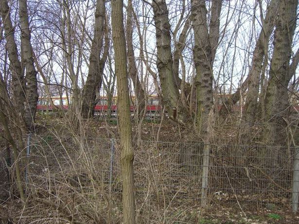 EÜ S 1 u. S 85 /EU S 25