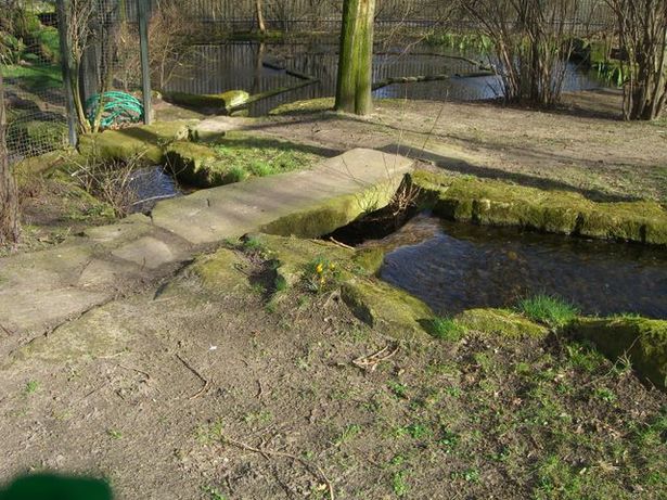 Natursteinbrücke im Zoo Berlin Nordabschnitt