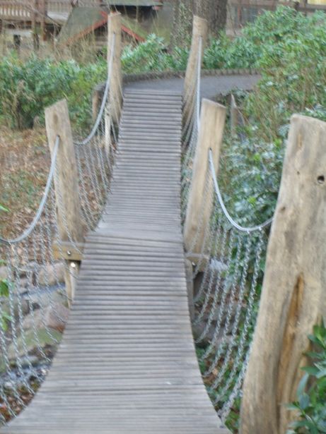 Hängebrücke im Berliner Zoo