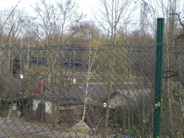 Heizleitungsbrücke / Spree bei Wiesendamm