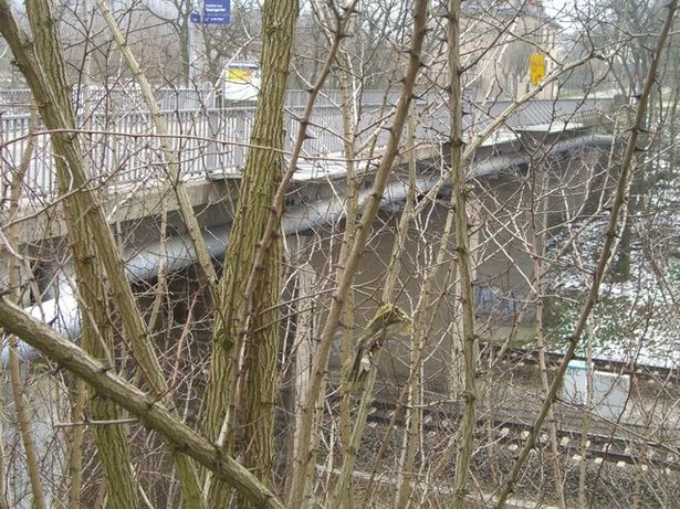 Hauptstraßenbrücke Frankfurt Oder Rosengarten / EU RE 1