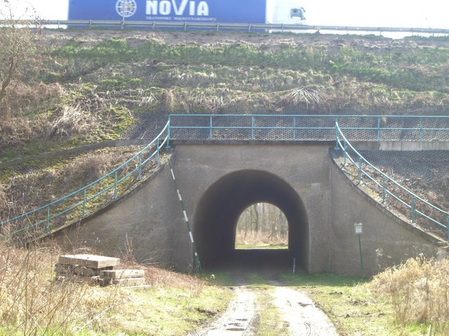 A 12 Brücke / Eichwaldweg
