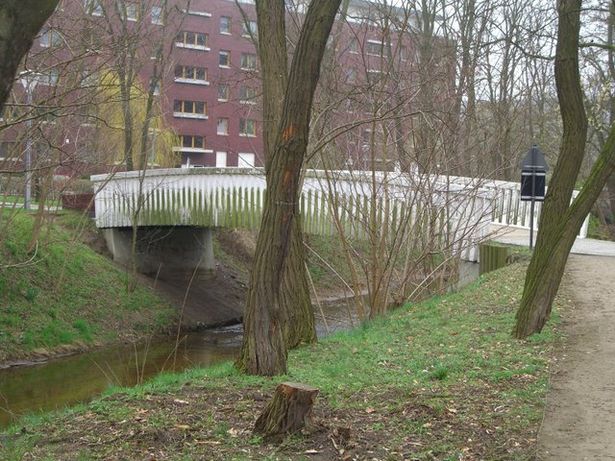 Fußwegbrücke südöstlich BAS 41662 / Havel - Spree Graben