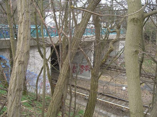 Straßenbrücke Flatowallee / EU S 9 und 75