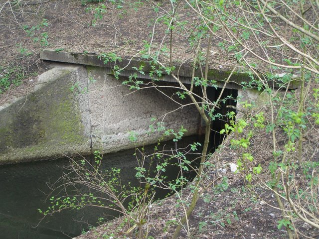 Jagdschloß Grunewaldbrücke / Fenngraben