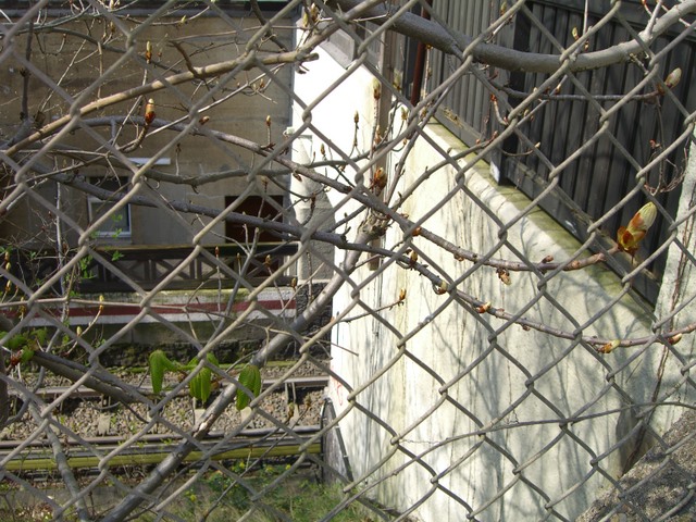 Iltisstraße - Königin Luise Straße / U Bahnlinie 3