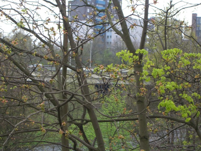 A 103 Abfahrt - A 100 Auffahrt / Grazer Damm mit Auffahrten zur A 100