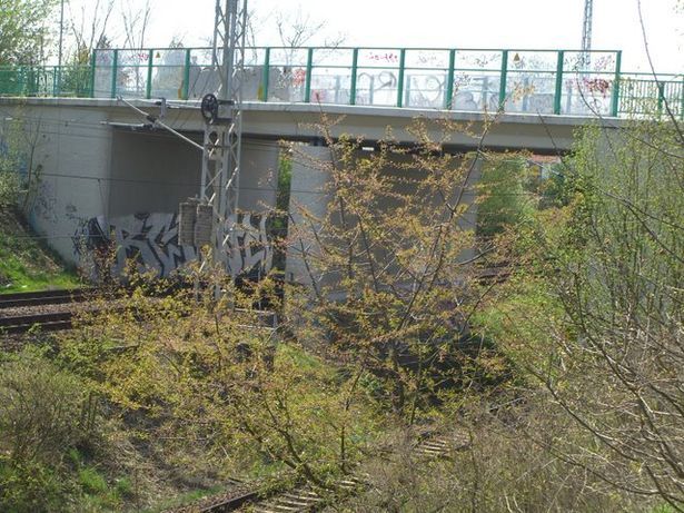 Oranienburger Straßenbrücke / EU BAR