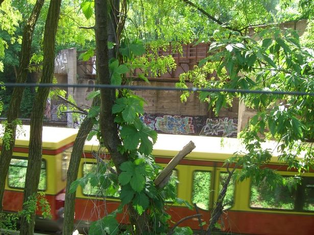 EÜ stillgelegte Nordostkurve / EU Stadtbahn O - W Verkehr Westkreuzbereich