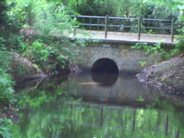 Buchenalleebrücke