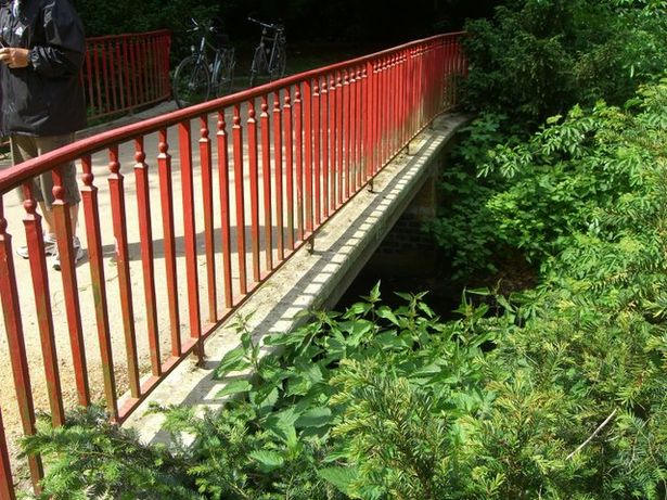 Platanenalleebrücke