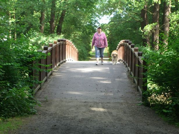 Inselbrücke Nord Jungfernheideteich
