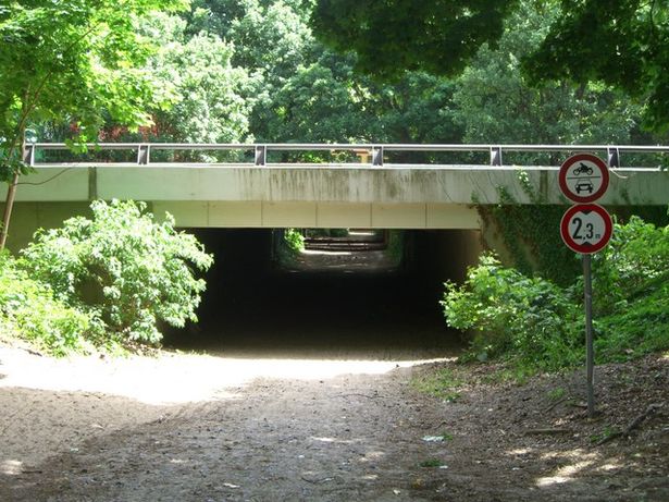 A 115 ( Avus ) Brücke / Weg Havelseechaussee - Schlachtensee 