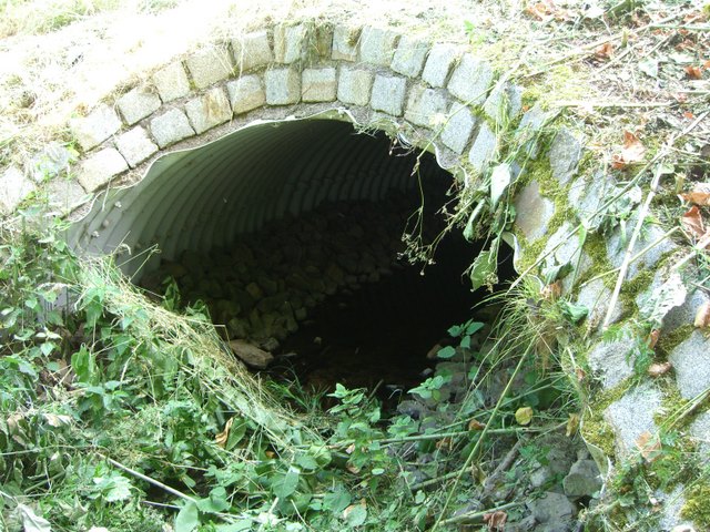 Buchholzer Alleebrücke / Graben am Altlandsberger Vorwerk