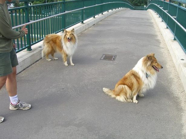 Fuß- u. Radwegbrücke Ibsen - Jonas Lie Straße / B96 Alt Glasow