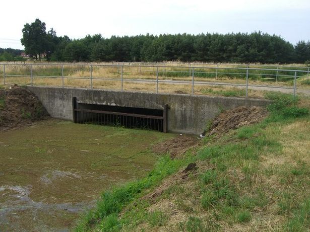 Klärwerksableiterbrücke nördlich BAS 42871 / Feldweg