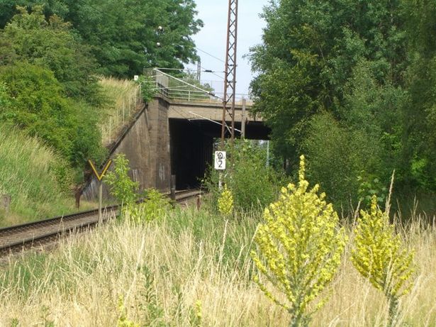 EÜ Nord Süd Bahn Bernau - Blankenfelde / EU Blankenfelde fern von Süd nach W est