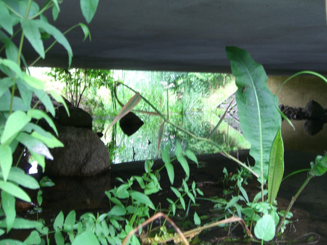 Dorfstraßenbrücke Weißensee / Fließ Prottenlanke - Parsteiner See eingeben