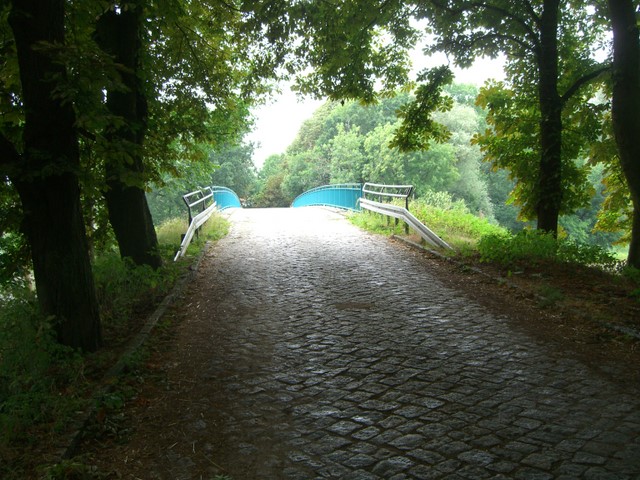 Criewenbrücke / Hohensaaten - Friedrichsthaler Wasserstraße