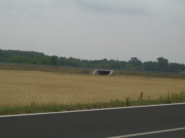 B 87 Brücke OU Müllrose / Kietzer Weg