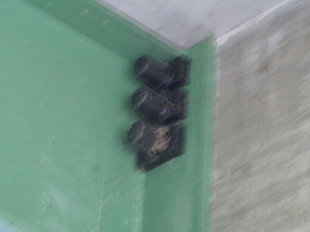 Kolberger Straßenbrücke / Kanal Langer - Wolziger See