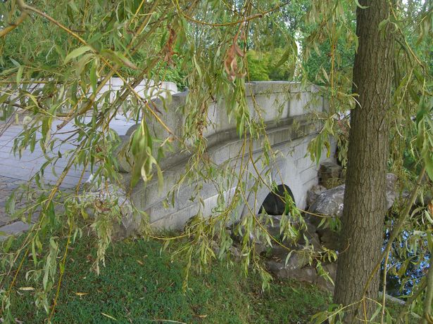 Brücke im Chinsischen Garten