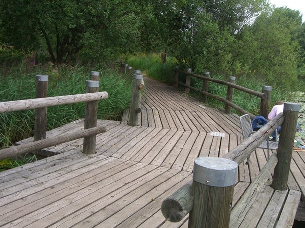 Parkwegbrücke / Seebucht südl. Aktivsee