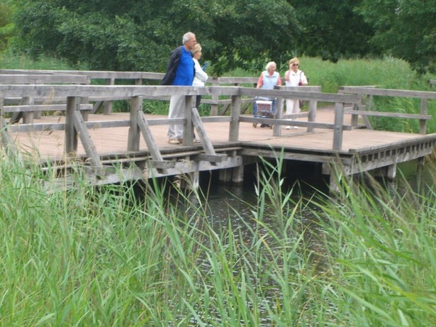 Parkwegbrücke am Großen Wehr
