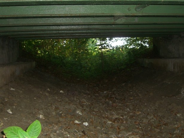 Dorfstraßenbrücke / Verbindungsfließ